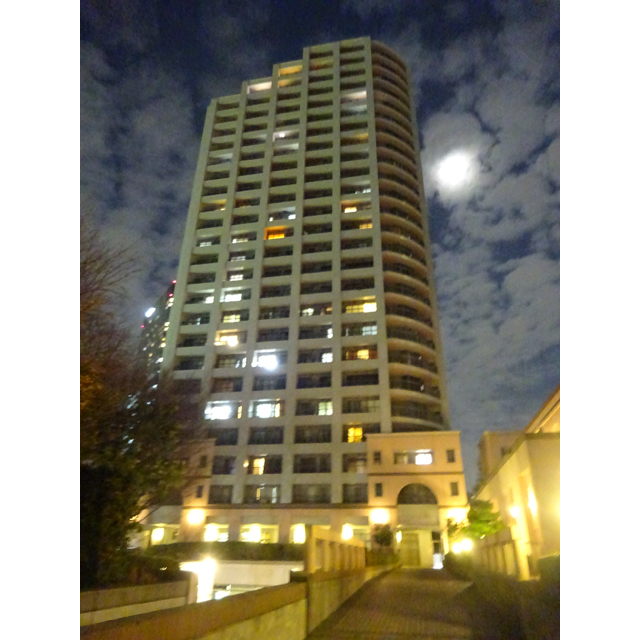 賃貸マンション・賃貸住宅のダーウィン/西戸山タワーホウムズノースタワー(012732)